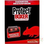 R PROTECT BOXER EGÉRÍRTÓ ÁLLOMÁS